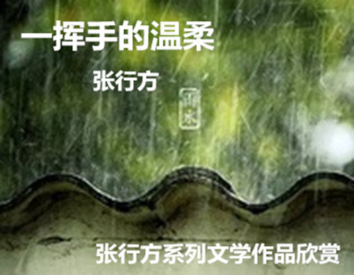 image/20200219/cd946f1f1df4343360bda7e3b68e727d.jpeg